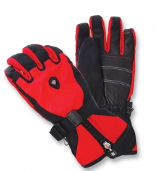 Ski Gloves